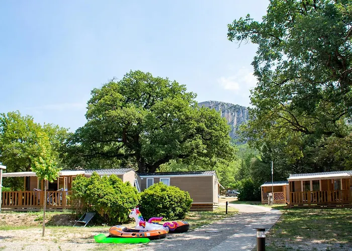 Campsite Domaine Le Petit *